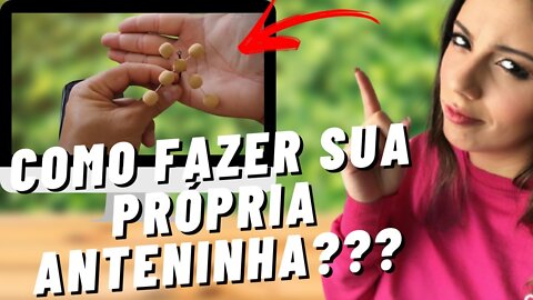 the gabiis pescaria - ANTENINHAS CASEIRAS PARA TAMBA | pescaria