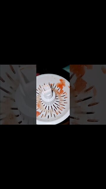 Made Fresh Squeezed Grapefruit and 🍋 In My Juice Mini Citrus Juicer. 😋