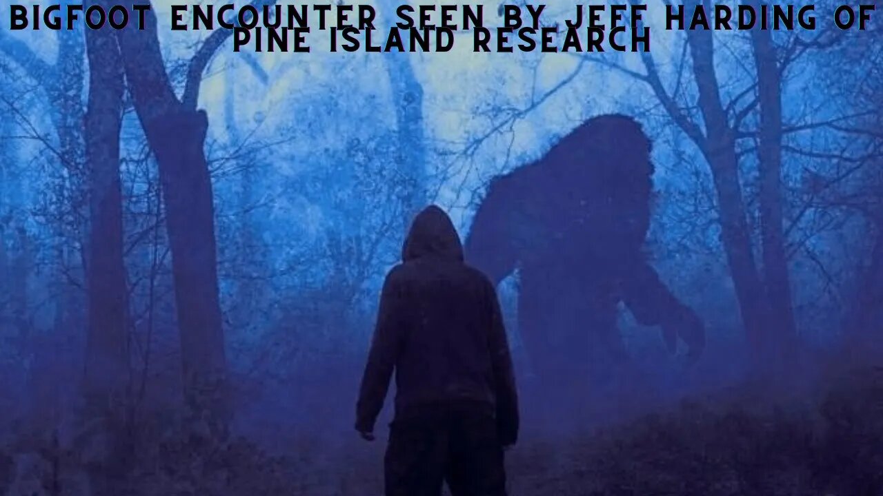 Bigfoot Encounter Seen By Jeff Harding of Pine Island Research