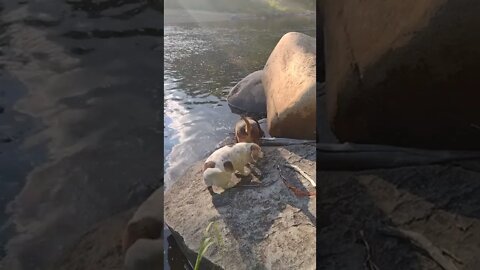 What's Down In There?