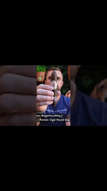 Mama Didn’t Raise No Fool #cigar #cigars #luxury #review