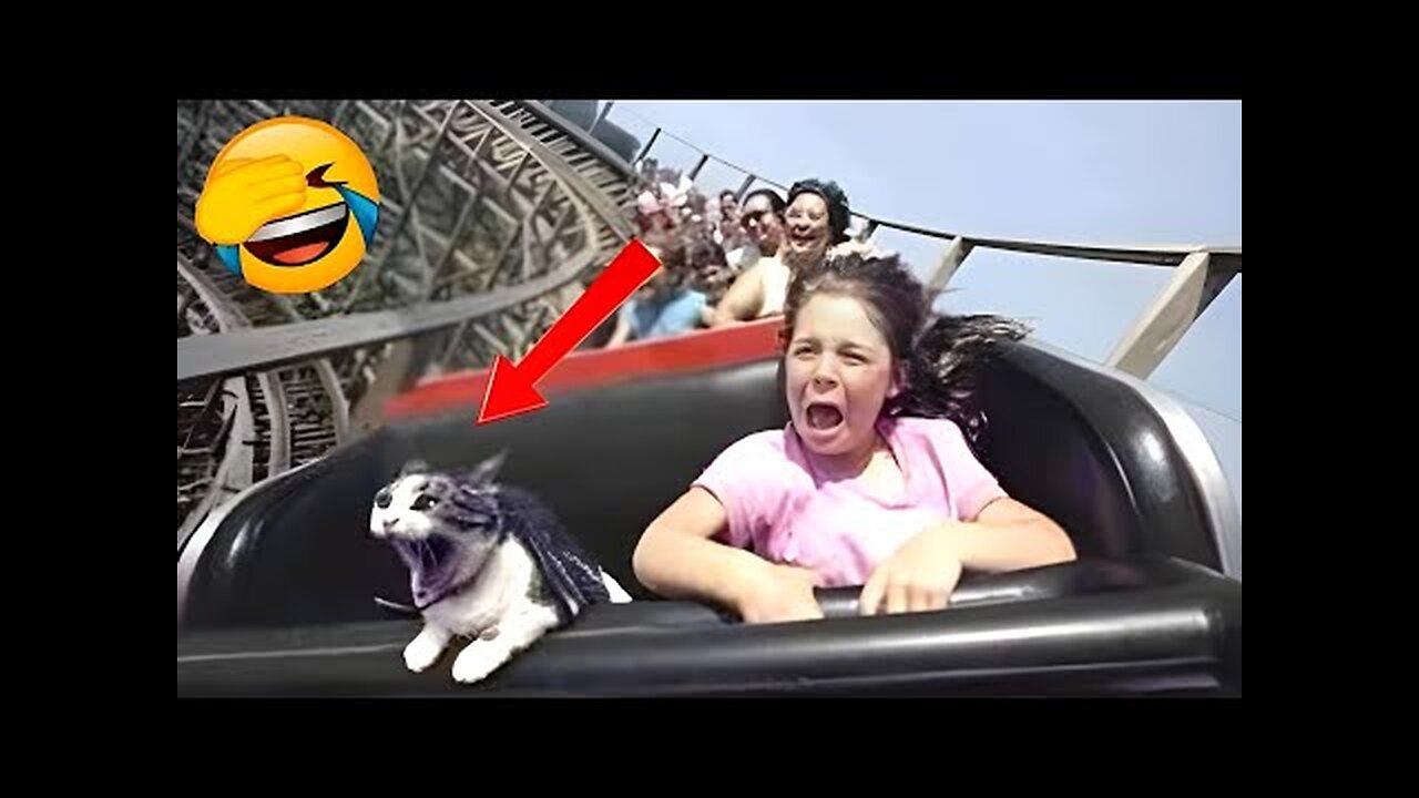 FUNNY CATS and DOGS 🐱🐶 & other ANIMALS 🐾 New Funniest Animals Videos 2023 😂
