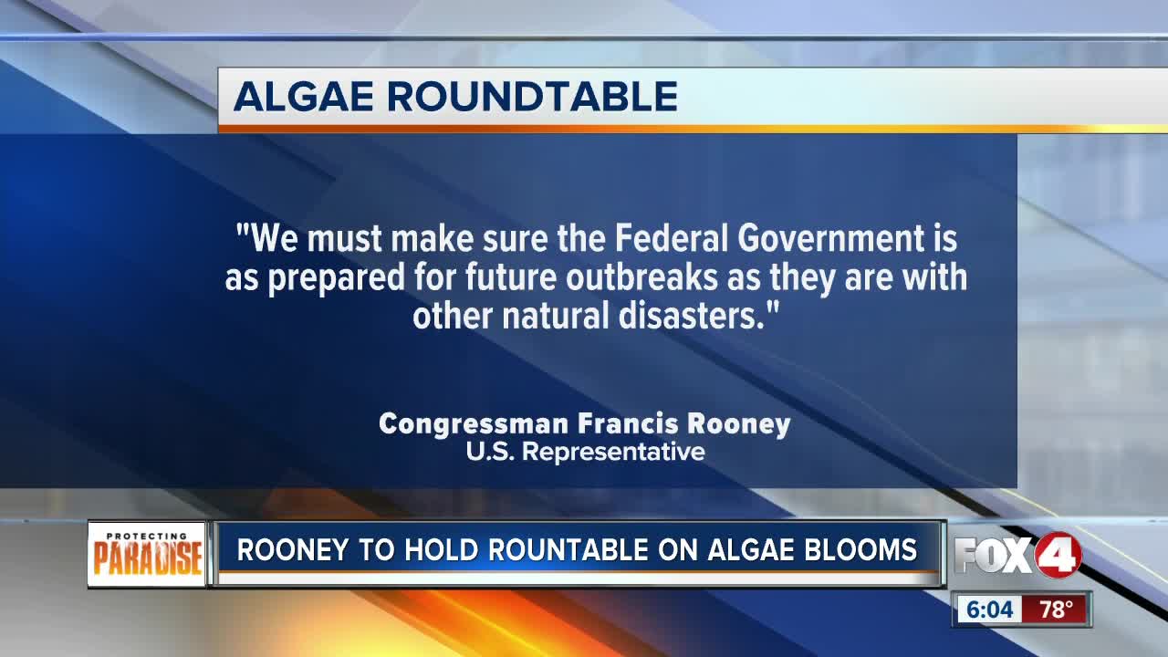 Rooney holds rountable on algae blooms