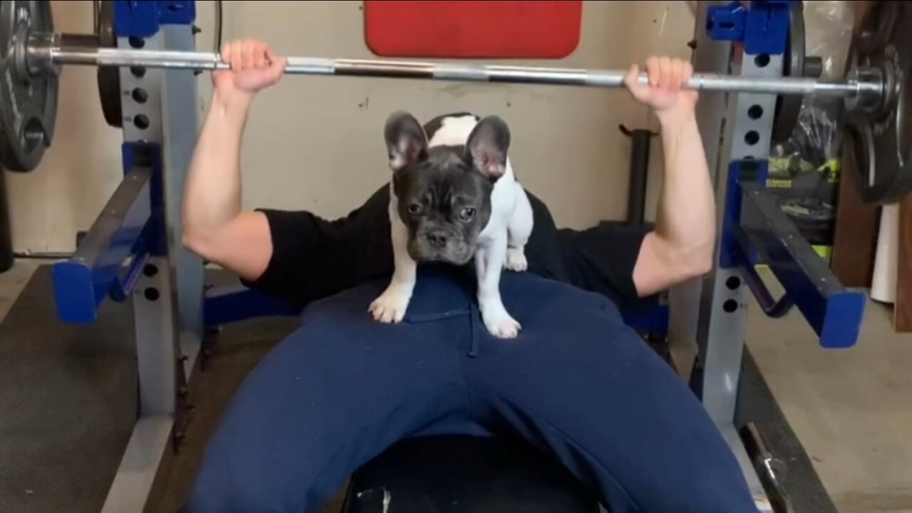 My new workout buddy