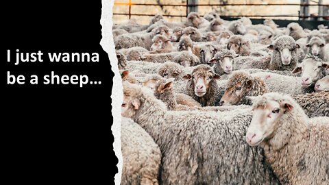 Sermon Only | I just wanna be a sheep... | 20220724