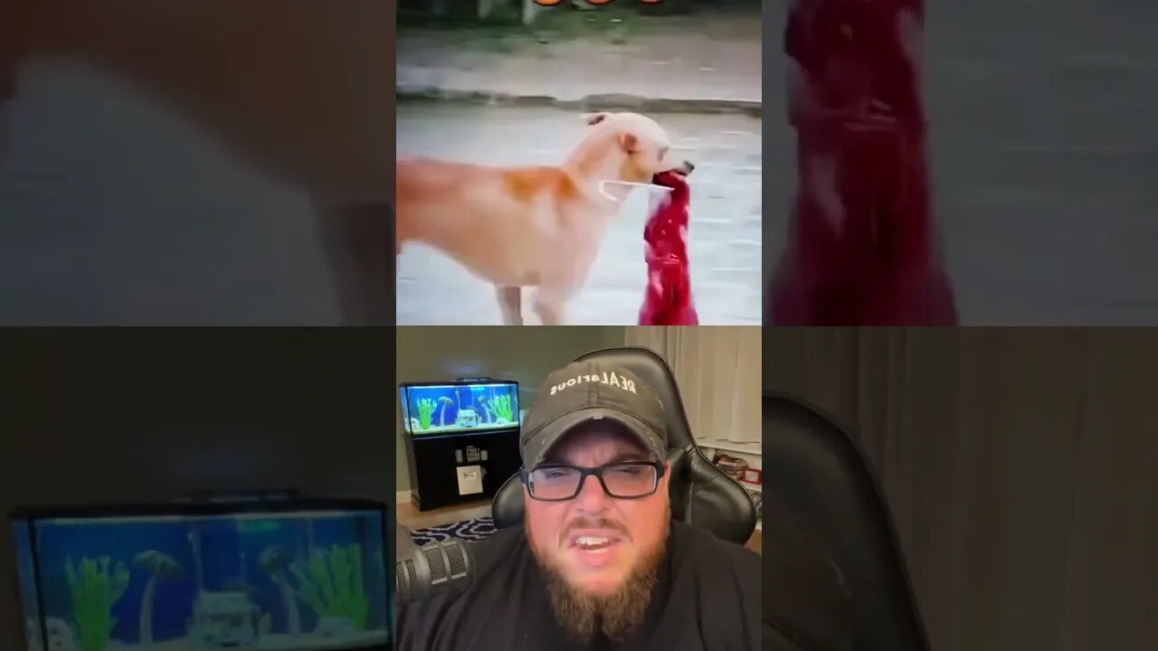 Here’s Your Dose Of REALarious…🤣🤣🤣