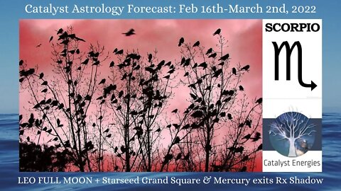 SCORPIO-Catalyst Astrology Forecast - LEO FULL MOON + STARSEED GRAND SQUARE: Feb 16-March 2nd, 2022