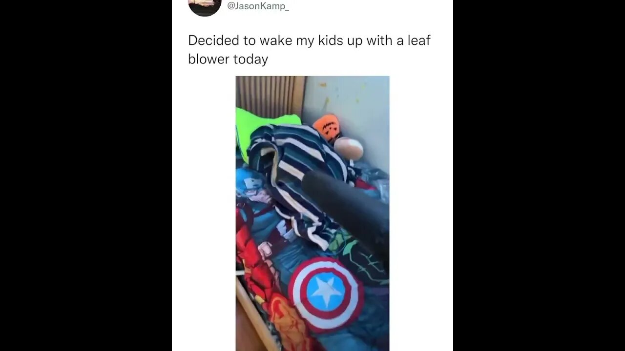 Leaf blower for alarm?