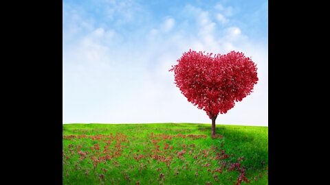 Música de Piano RelaxanteMúsica de Piano Relaxante -