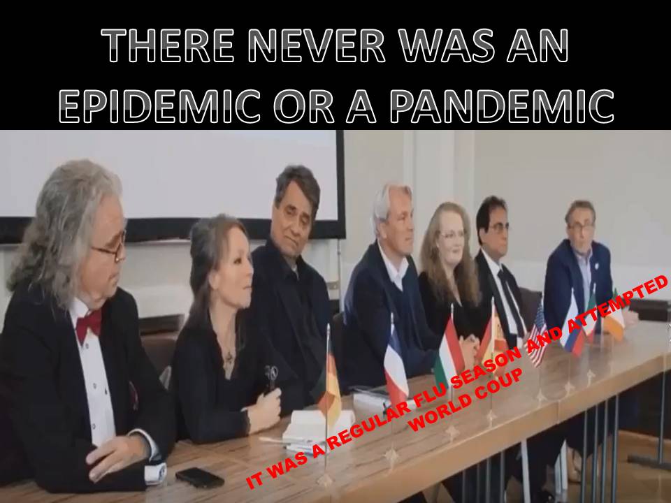 IT NEVER WAS A PANDEMIC