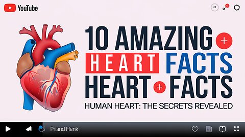 Blood pumping organ The heart