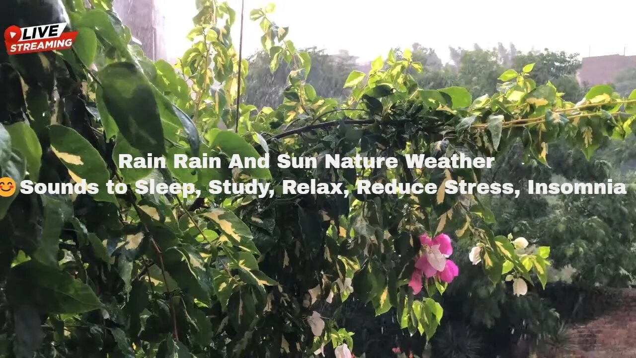 Rain Rain And Sun Nature Weather 😊 Sounds to Sleep, Study, Relax, Reduce Stress, Insomnia