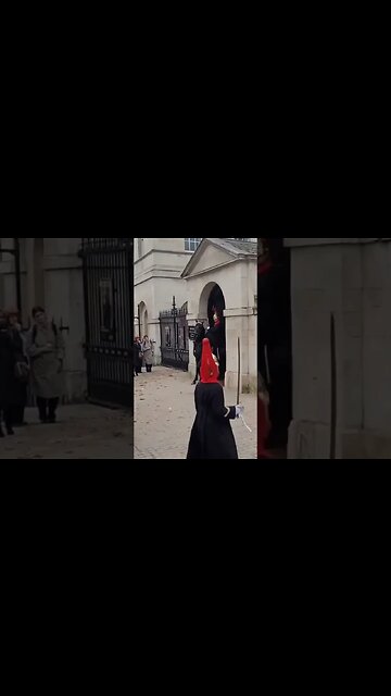 Horse jumps out of the box #thekingsguard