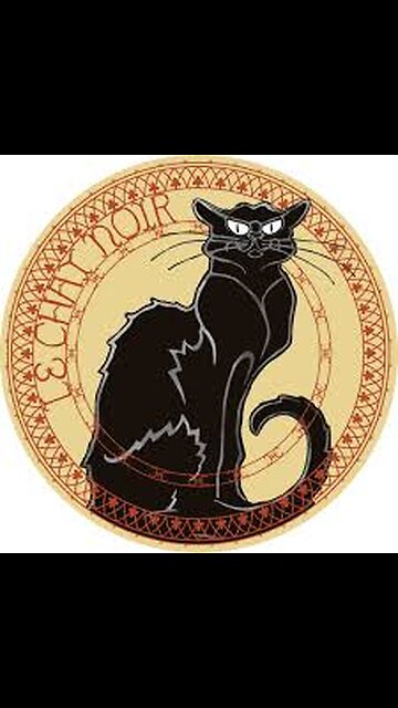 DJ Stir Fry . Le Chat Noir