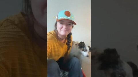 Bro I'm not your dog lol