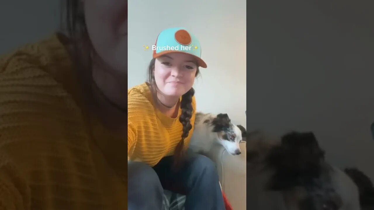 Bro I'm not your dog lol