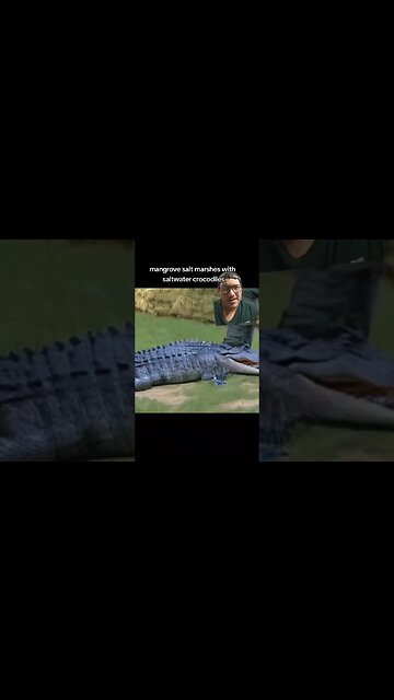 The Ramree island Massacre