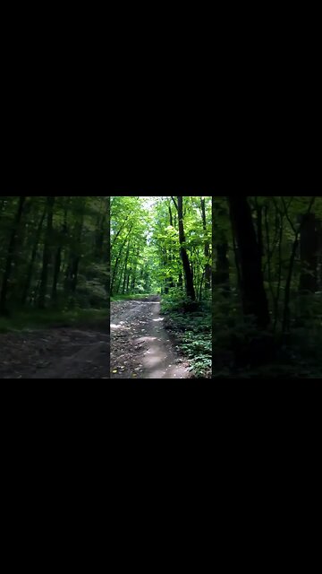 BANEASA Forest ride, Bucharest - Ilfov | 4k Virtual Tour | #shorts