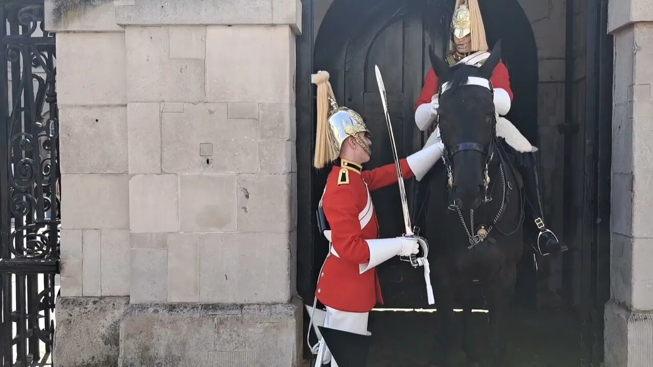 Kings gusrd horse bites the sword #horseguardsparade