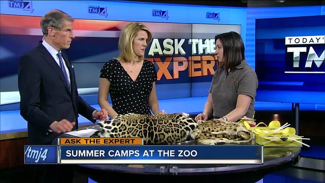 Ask the Expert: Summer camps at the zoo