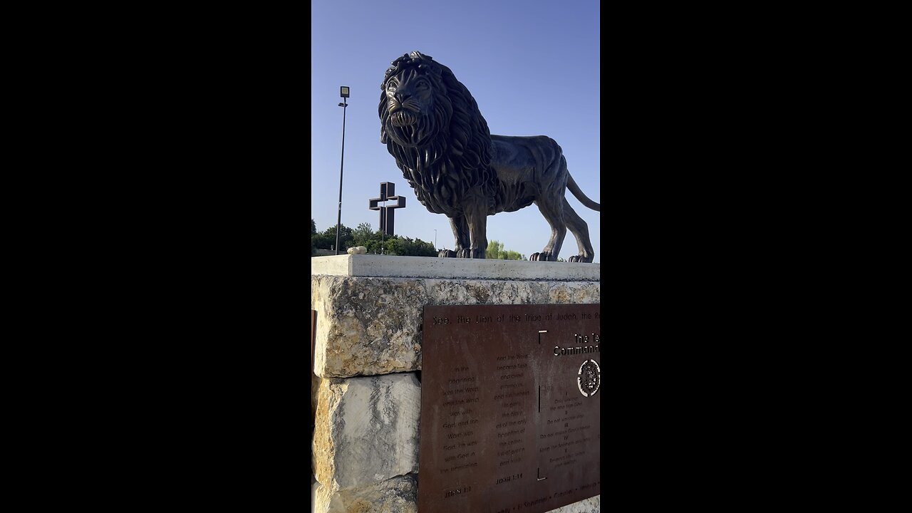 My pet Lion