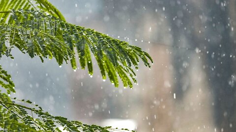 Relaxing Sound of Rain