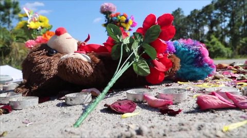 What you need to know this morning in SWFL