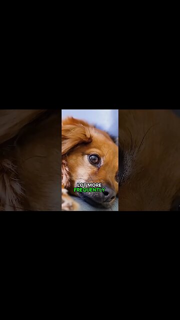 The MOST Powerful Supplement For Astral Projection