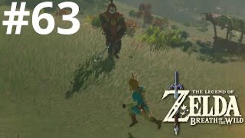 Dangerous Situations| The Legend of Zelda: Breath of the Wild #63