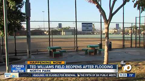 Ted Williams Field in North Park reopens after flooding