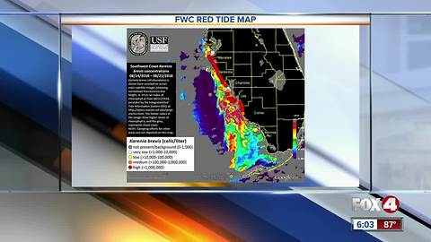 FWC gives an update on where red tide is located