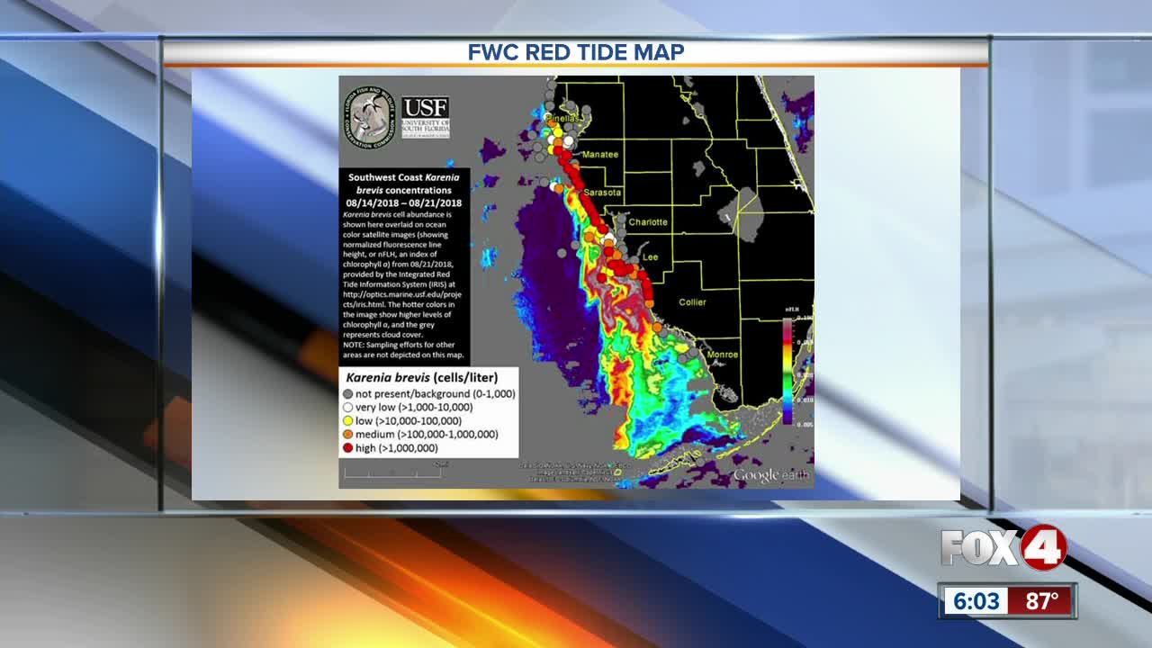 FWC gives an update on where red tide is located