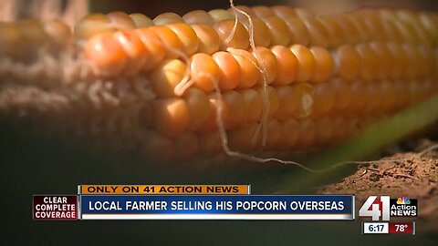 First-generation farmer finds niche for growing popcorn in Princeton, KS