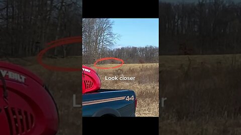 Noticed Something Weird? Video By eberhart 26 #Shorts