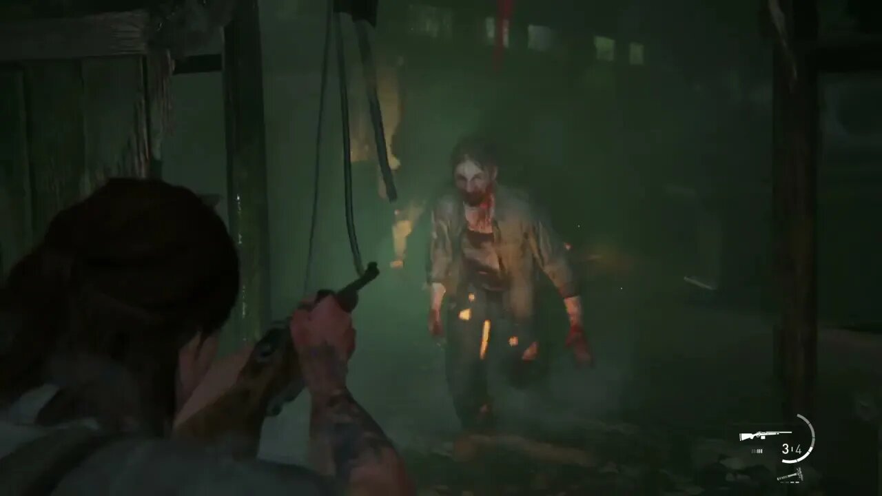 The Last of Us™ Part II_What part of the game is this?