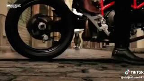 Best bike action whatsapp status