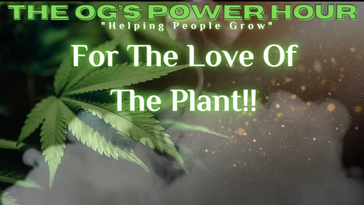 For The Love Of The Plant!!