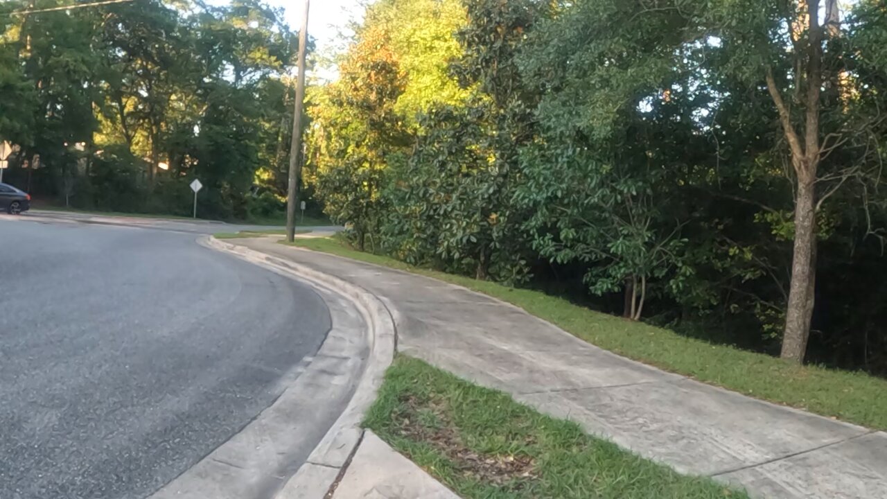 Miccosukee Rd, Canopy Motorcycle Ride, Part 1