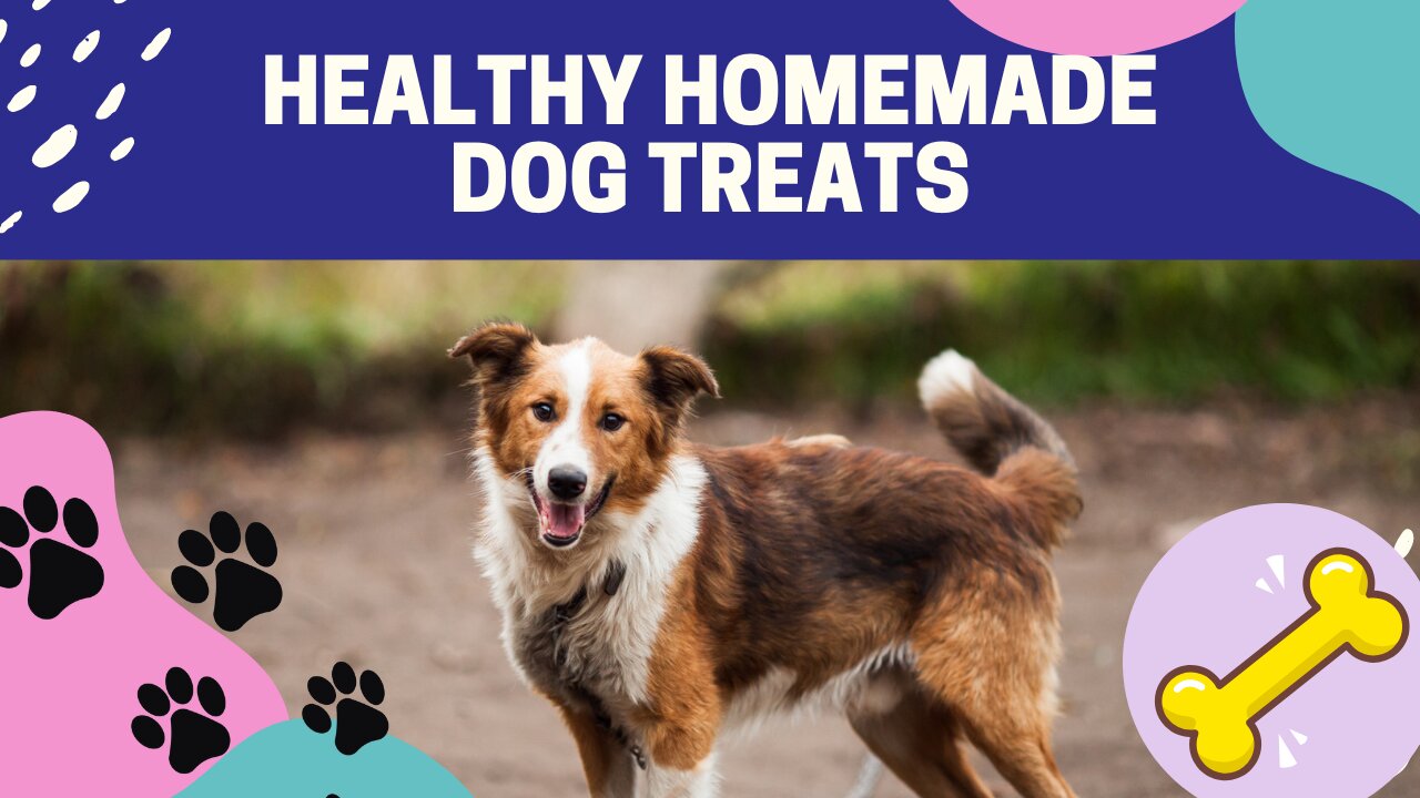 HOMEMADE DOG TREATS - EASY, TWO (2) INGREDIENT