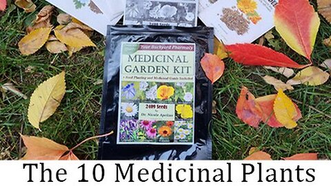 THE 10 MEDICINAL PLANTS YOU SHOULD HAVE IN YOUR BACKYARD IN A CRISIS