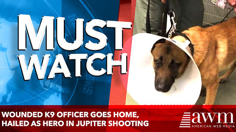 VIDEO: Wounded K9 officer goes home, hailed as hero in Jupiter shooting