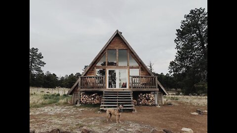 FULL SCALE TREEHOUSE! Coolest Airbnbs in Arizona - ABC15 Digital