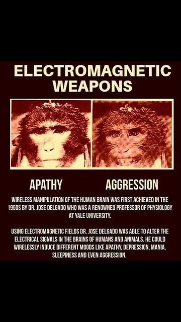 In this video you can clearly see the effects of EMF-s like WIFI radiation on living beings and,