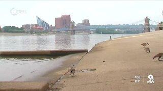 City invites new ideas for riverfront boat dock