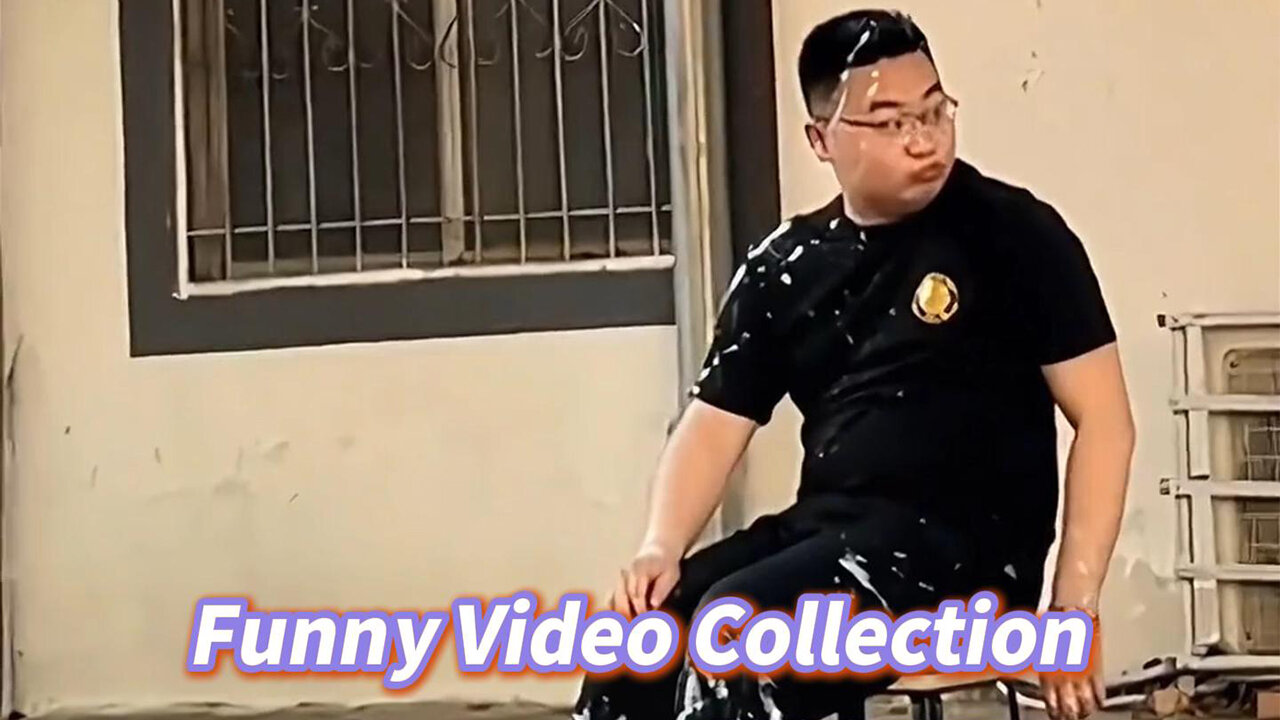 Funny Video Collection