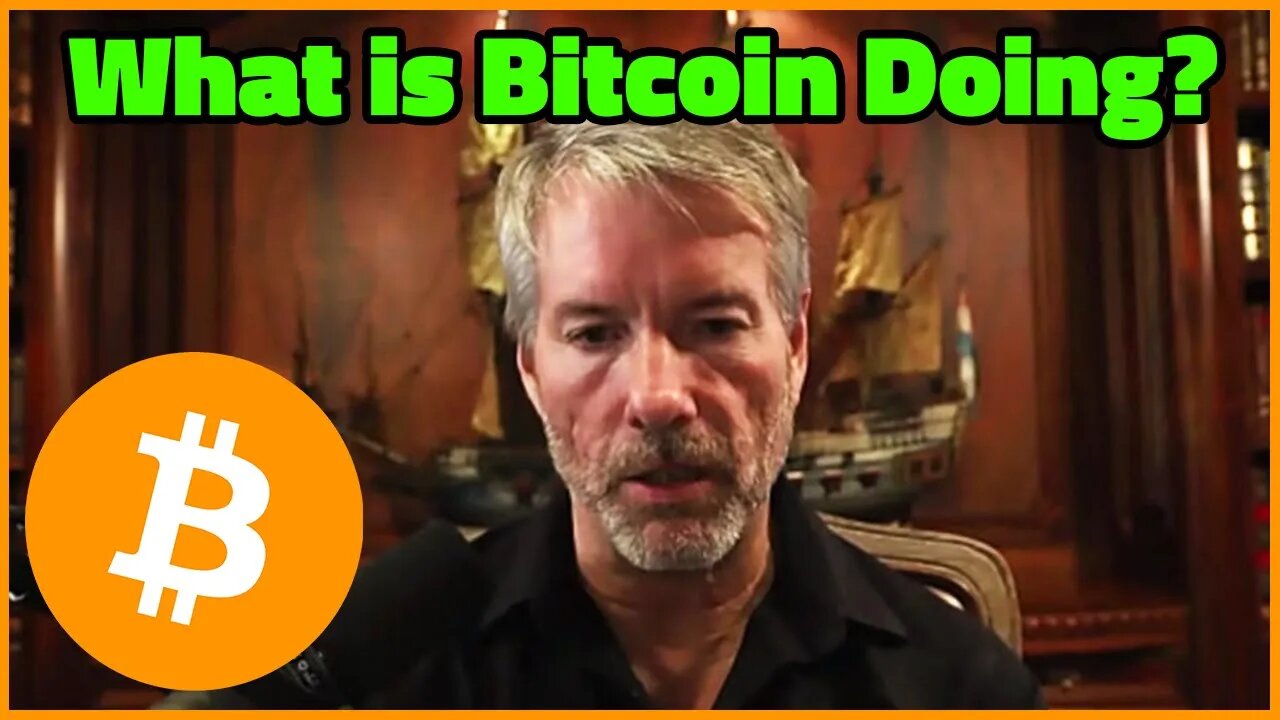 What is Bitcoin doing?! - MicroStrategy CEO Michael Saylor