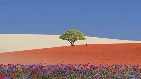 Exploring the Hidden Wonders of Nature