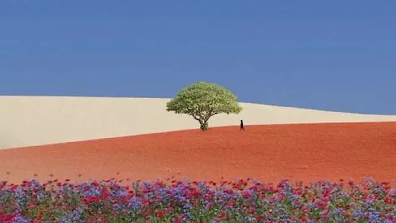 Exploring the Hidden Wonders of Nature