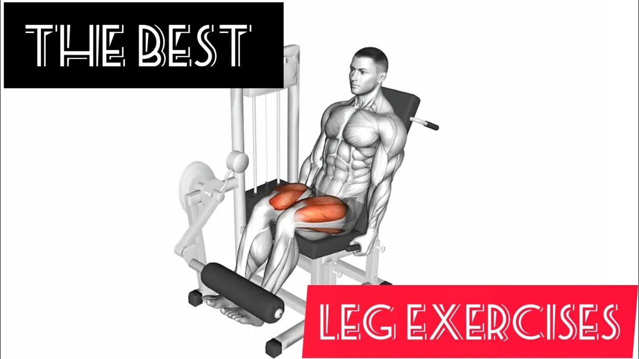 The best leg exercises(6 exercise)