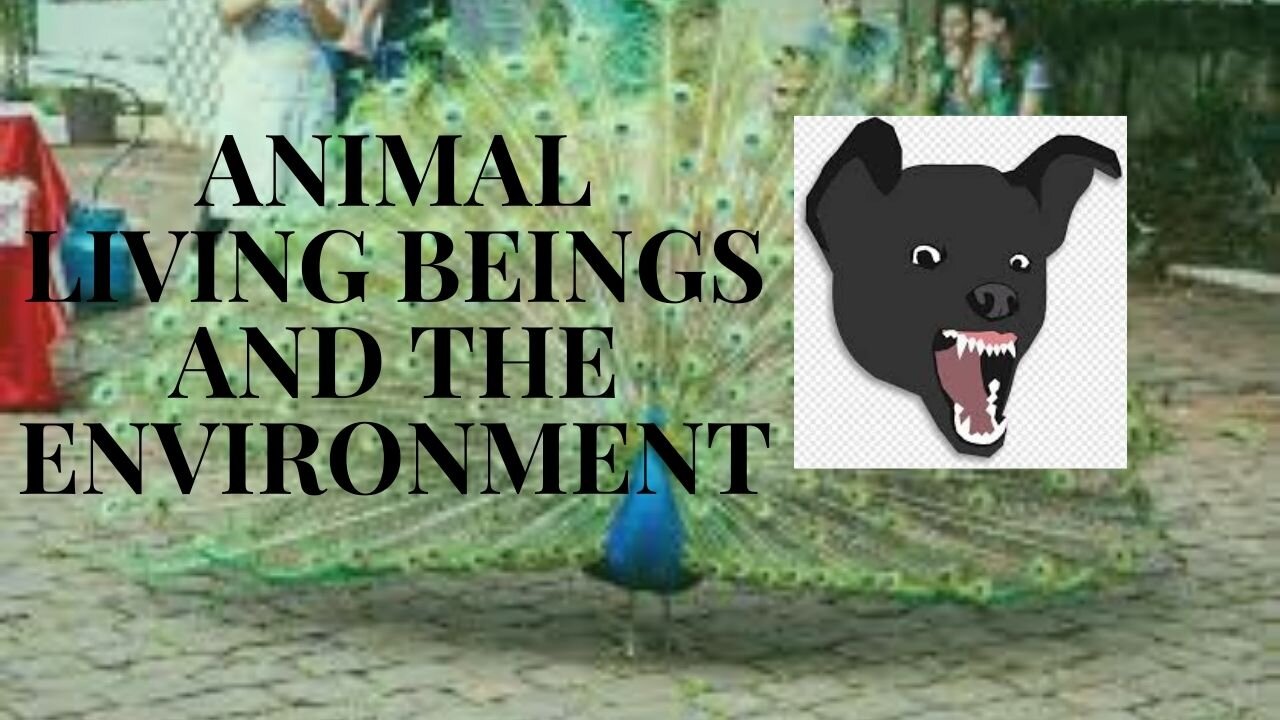 ANIMAL LIVING BEINGS AND THE ENVIRONMENT